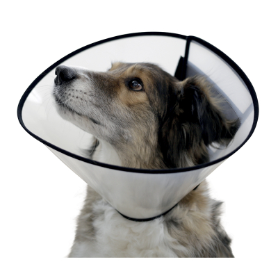 Dog collar - Kerbl - 22-26cm x 7.5cm x 1