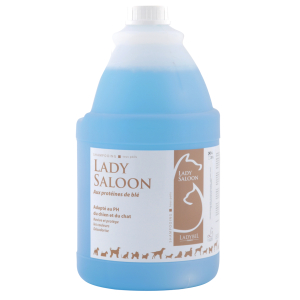 Lady Saloon Shampoo - Ladybel - 20L 1