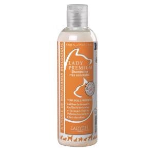 Lady Premium Shampoo - Ladybel - 10L x 1