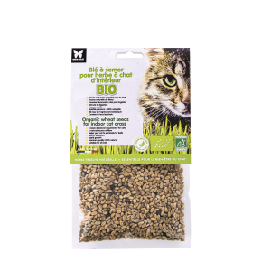 Graines d'herbe à chat d'intérieur à semer - bio - 1