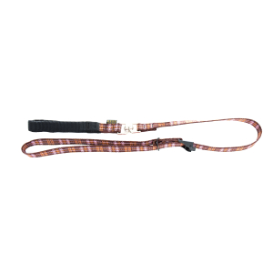 Laisse et collier en nylon - mauve 1