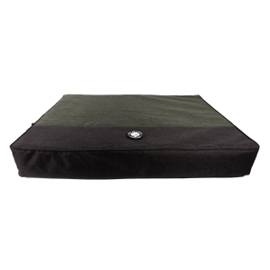 Coussin rectangle épais - Real Dreamer - T80 - vert x 1