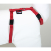 Nylon Cat Harness - Plain - 35/50cm - 1cm - Red 1