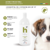 Laisse Avant-garde Crossword - Taille M - Longueur 5m - Pour chien jusqu'à 22kg