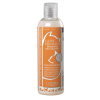 Shampooing Lady Premium - Ladybel - 4L x 1