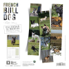 Laisse pour chien multiposition nylon rond gris - 1,3 x 192 cm 