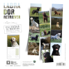 Laisse pour chien - nylon rond beige - 2 m