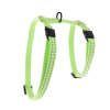 Harnais chat en nylon - Safety - 35/50cm - 1cm - vert PCB 1