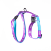 Pull pour chien - Téo Jasmin Apache - - 22cm