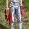 Jouet pour chien - Lot de 4 cordes + 2 balles de tennis - 25cm