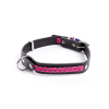 Lotion nettoyante oreilles pour chien - Cani Sciences