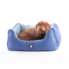 Harnais baudrier pour chien - Pets connection noir - larg 16mm Long 35 à 50cm