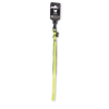Graines de cataire pour chat - 30 g