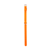 Shampooing Pro Basic pour Chein - Héry - 5L