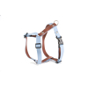 Nylon harness - Two-tone - 30/45cm - 1.5cm - brown/blue x 1