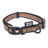 Laisse nylon "Flash" pour chat - Bleu