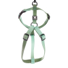 ACANA REGIONALS Pacifica pour chien - 0,34 kg