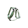 ACANA REGIONALS Ranchlands pour chien - 6 kg