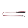 ORIJEN Puppy pour chiot - 6 kg