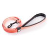 ORIJEN Original pour chien - 0,34 kg