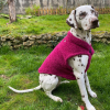 Laisse nylon avec poignée confort - special gros chien - Rouge - 120 x 3 cm