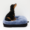 Ciseaux de toilettage droits XP101 - Spécial débutant- 15cm - Optimum classic