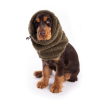 Spray parfum pour chien et chat - Sweet - Ladybel - Coco - note bounty, gateaux coco