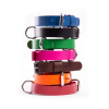 Collier pour chien - Jean vert marin - Vivog - Longueur 40cm - largeur 20mm