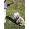 Pull pour chien - torsadé gris - T30 - 30cm