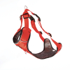 Laisse enrouleur pour chien - Flexi - vario sangle turquoise - Taille S - Longueur 5m