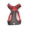 Laisse Avant-garde 5th Avenue - Taille S - Longueur 3m - Pour chien jusqu'à 13kg
