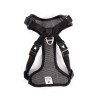 Laisse Avant-garde So British - Taille S - Longueur 3m - Pour chien jusqu'à 13kg